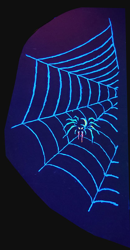 Spider Web on Cardboard