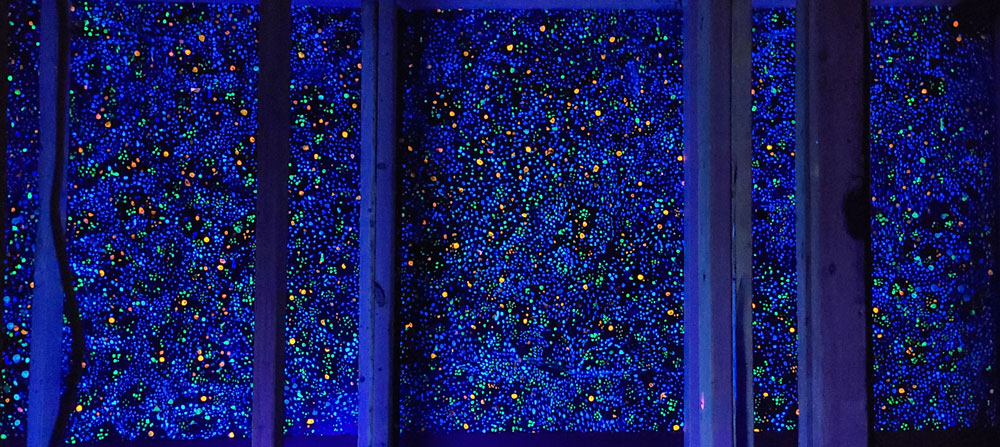Stars Scene