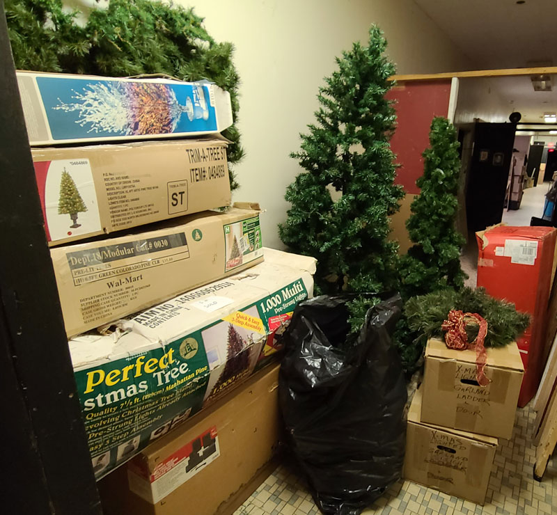 Christmas Trees in Hallway