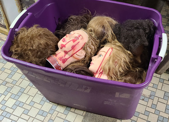 Tote of Cosmetology Heads