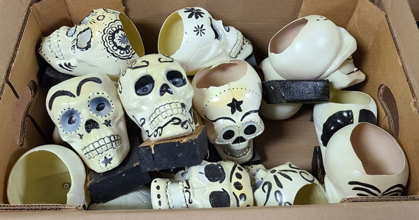 Day of Dead Skulls (Box)