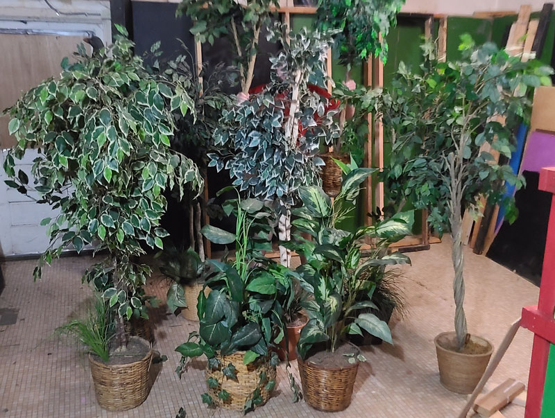 Plastic Trees